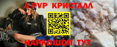 молекула духа Кингисепп