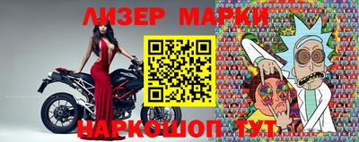 молекула духа Кингисепп