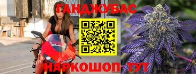 молекула духа Кингисепп