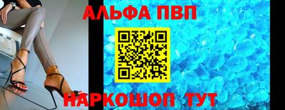 молекула духа Кингисепп