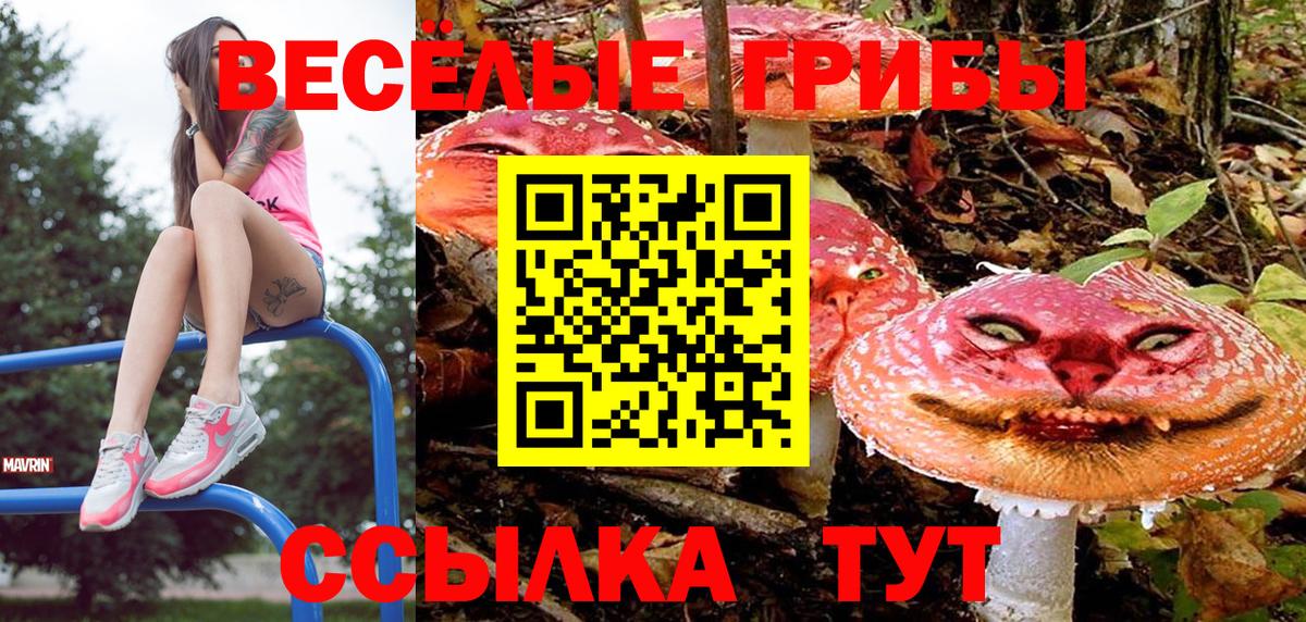 Кирово-Чепецк  Галлюциногенные грибы Psilocybe  Вход с VPN 